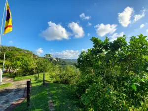 Paseo Lineal Juan Antonio Corretjer