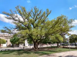 Plaza San Martin