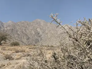 Chiltan Park