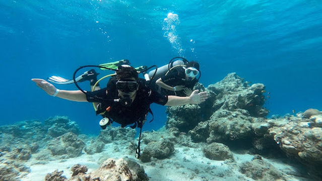 Reef 2000 Diving Center