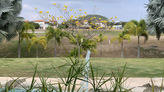 Decameron Golf Course Mantarraya