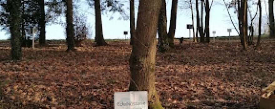 Arboretum Eichbott