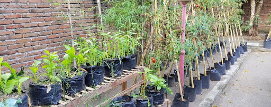 Berea Garden Lombok