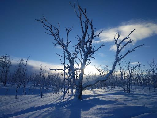 Kaldoaivi Wilderness Area