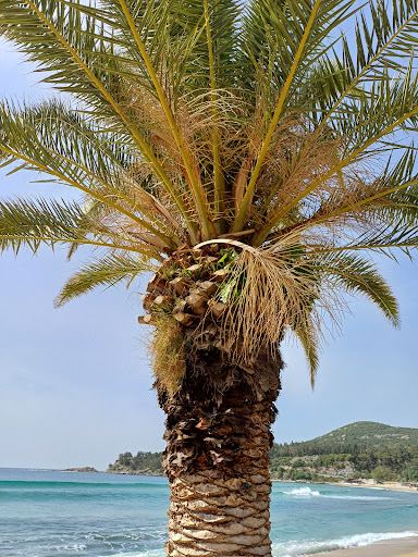 Paralia Kalamitsa