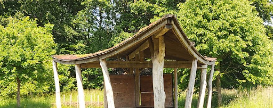 Speelbos 't Vossenhol
