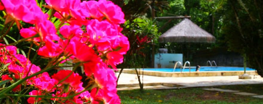 Porongaba Camping