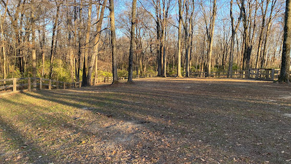 Bark Park