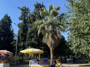 Hacı Mehmet Okan Park