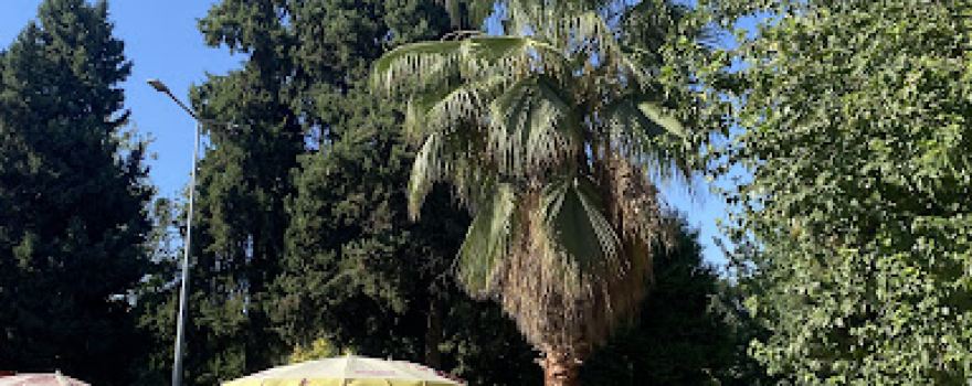 Hacı Mehmet Okan Park