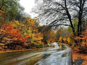 Daland Forest Park