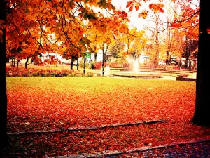Park miejski