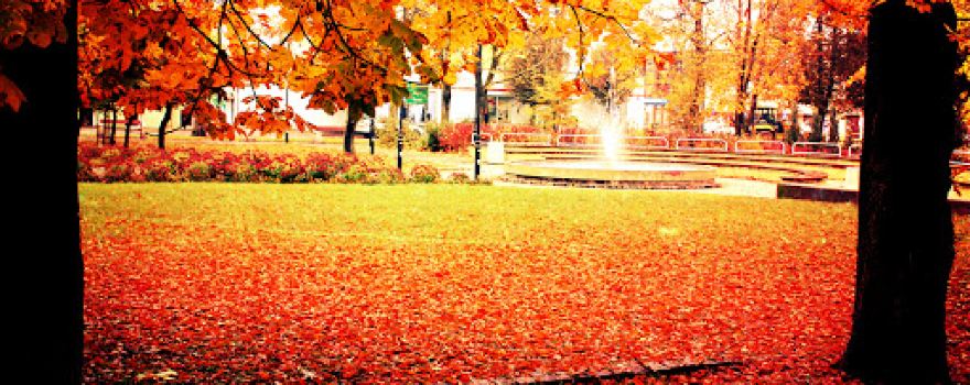 Park miejski