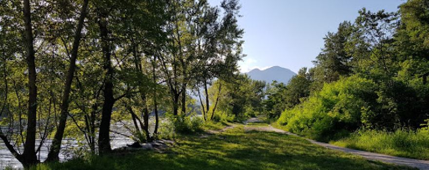 Maggia