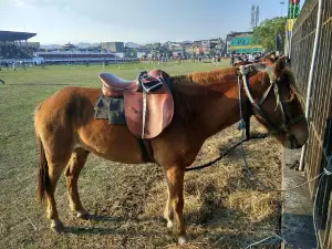 Polo Ground (Mapal Kangjeibung)