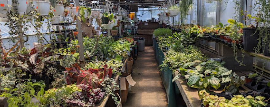Father Nature's Garden Center