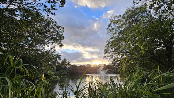 Fuchs Park