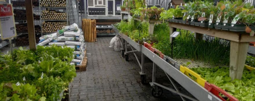 Welkoop Vriezenveen