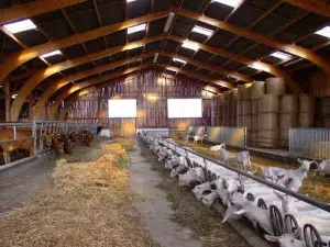 Ferme de Cabriole et Fromagerie de Cabriole