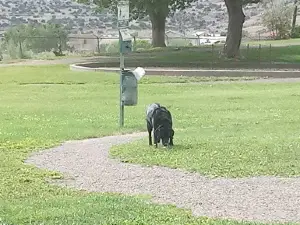 Grants Dog Park