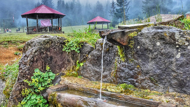 Işıklar Kayabaşı Yaylası