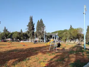 Hama Castle