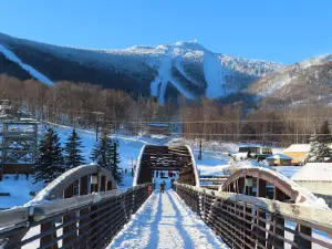 Snowshed Lodge