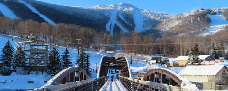 Snowshed Lodge