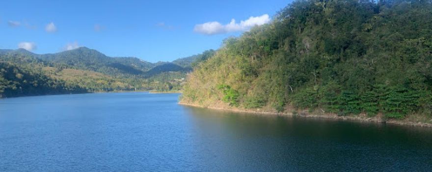 Lago Patillas