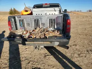 Kansas Creek Gamebirds