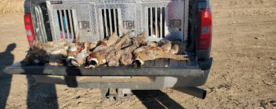 Kansas Creek Gamebirds