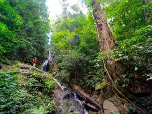 Muang Hiem School Forest Hiking Trail and View Point