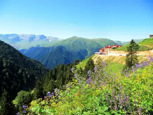 Trabzon uzungöl