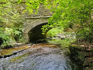 Roddlesworth Woods