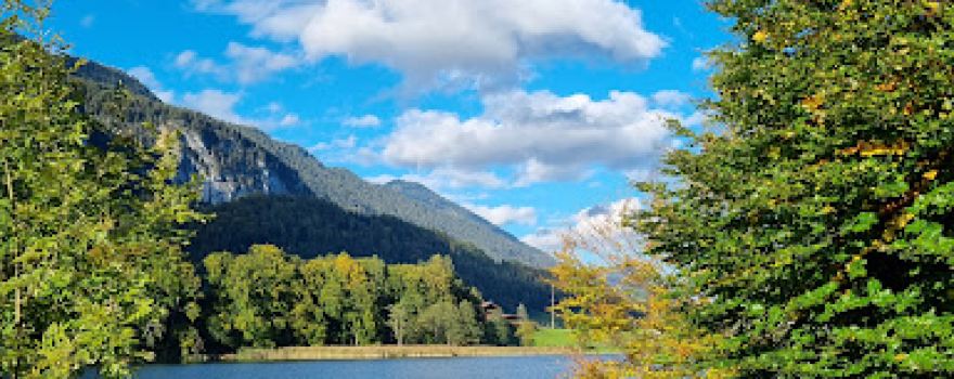 Camping Seeblick - Toni