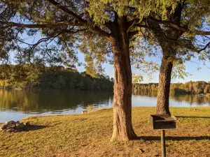 Rhea Springs Campground