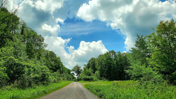 Brady's Lake