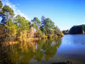 Le Dôme de Center Parcs