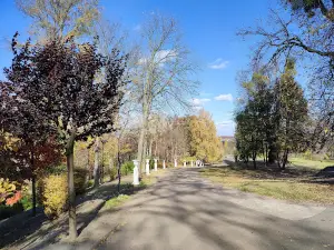 Park-Pam'yatka Sadovo-Parkovoho Mystetstva Mistsevoho Znachennya "Molodizhnyy"