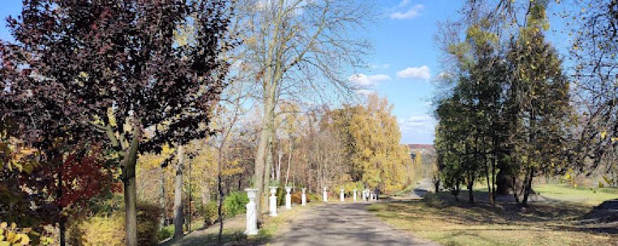 Park-Pam'yatka Sadovo-Parkovoho Mystetstva Mistsevoho Znachennya "Molodizhnyy"