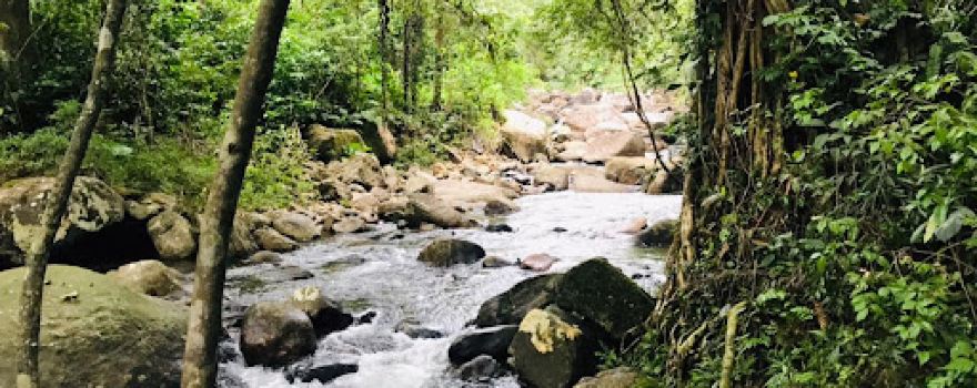 Mapalana Ella Falls