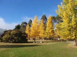 Mohaka River Farm