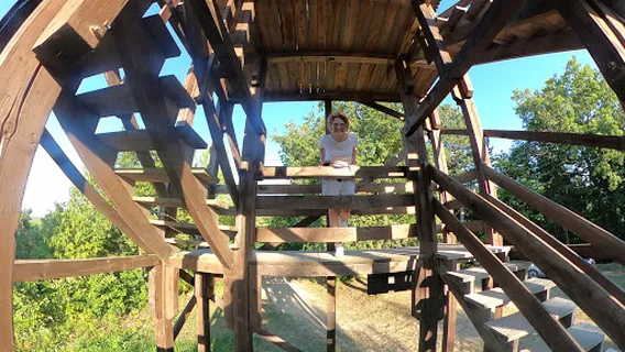 Viewpoint Tower at Iriški Venac
