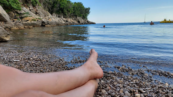 Plaža Redagara for dogs