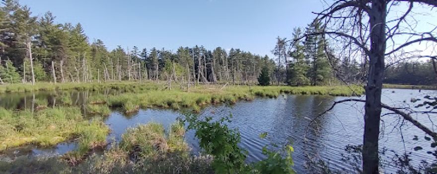 Oxbow Pond
