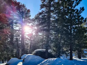 Palm Springs Aerial Tramway Mountain Station