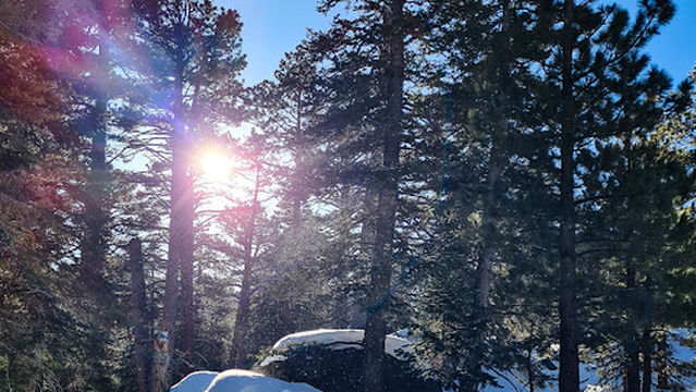 Palm Springs Aerial Tramway Mountain Station