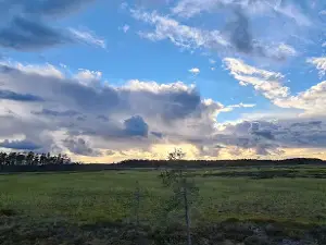 Torsmyran Nature Reserve