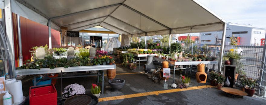 Garden-Outlet XXL