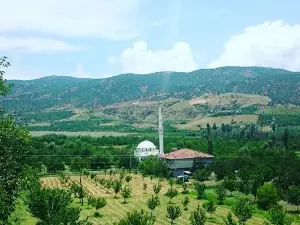 Ömer Doğan Cami